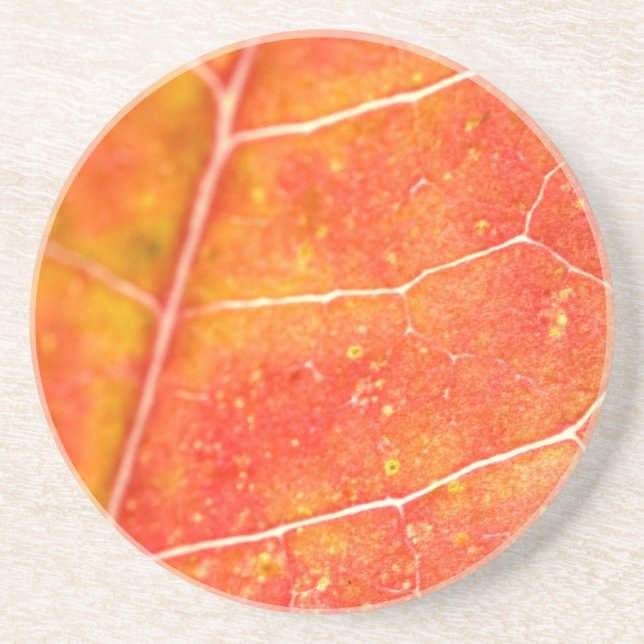 Dessous de verre en grès feuille d'érable automne  (Devant)