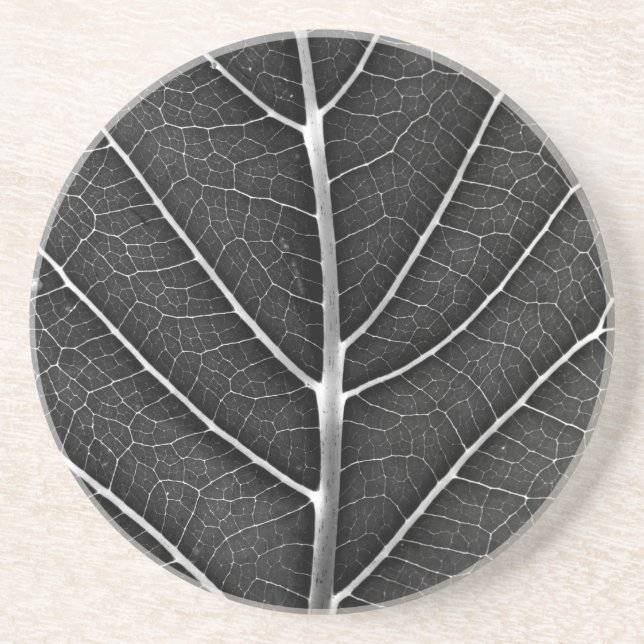 Dessous De Verre En Grès Feuille lumineuse noir et blanc en gros plan (Devant)