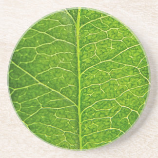 Dessous De Verre En Grès feuille verte