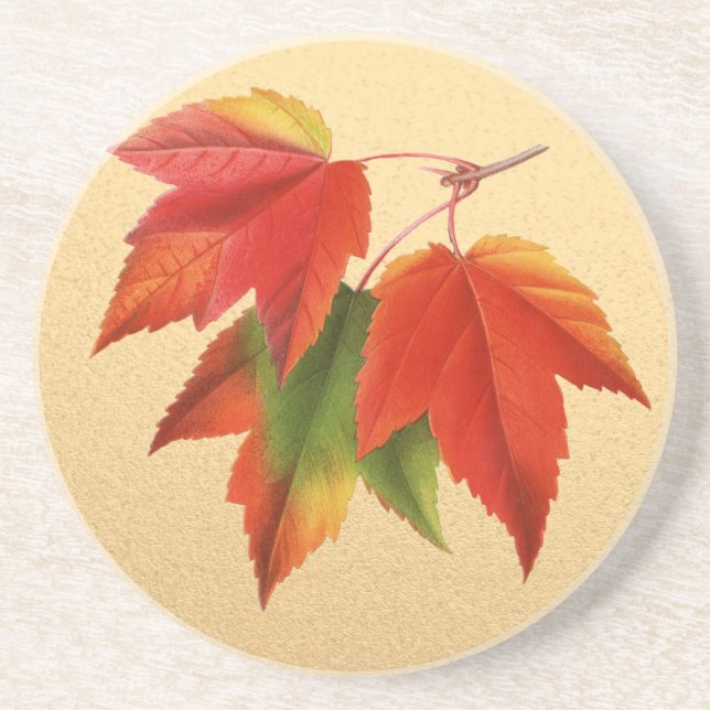 Dessous De Verre En Grès Feuilles d'automne Couleurs d'automne Feuille d'ér (Devant)