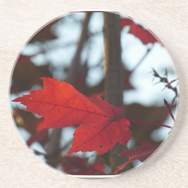 Dessous De Verre En Grès Feuilles de vacances (Devant)