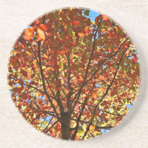 Dessous De Verre En Grès Feux d'artifice d'automne