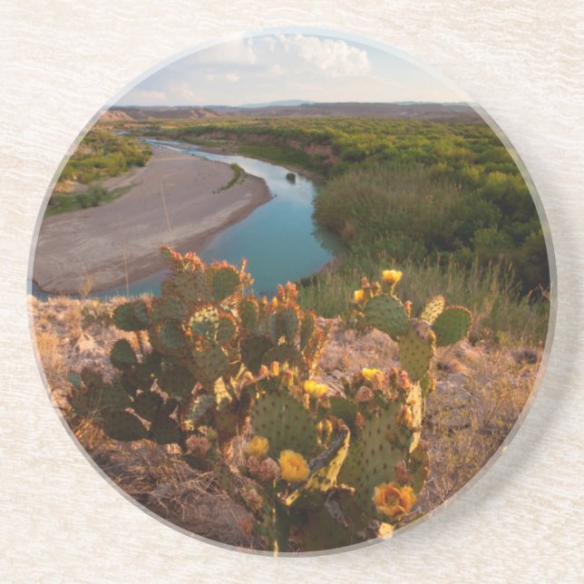 Dessous De Verre En Grès Figue de Barbarie (Opuntia Sp.) (Devant)