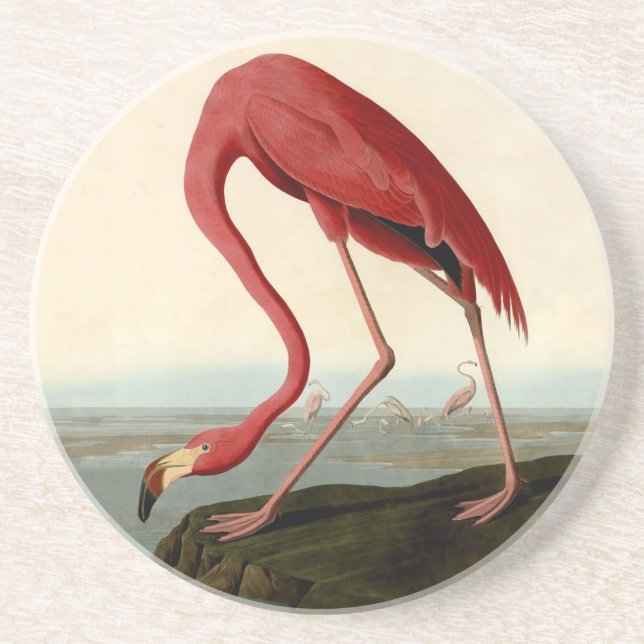 Dessous De Verre En Grès Flamant rose américain Audubon (Devant)