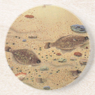 Dessous De Verre En Grès Flets ou poissons plats, vie marine océanique vint