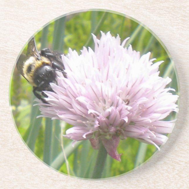 Dessous De Verre En Grès Fleur d'abeilles et de chive (Devant)