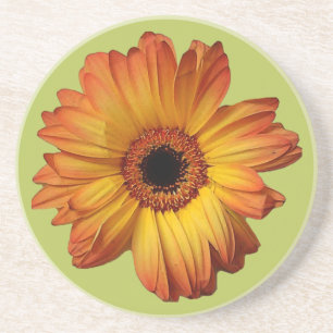 Dessous De Verre En Grès Fleur de gerbera orange ensoleillée