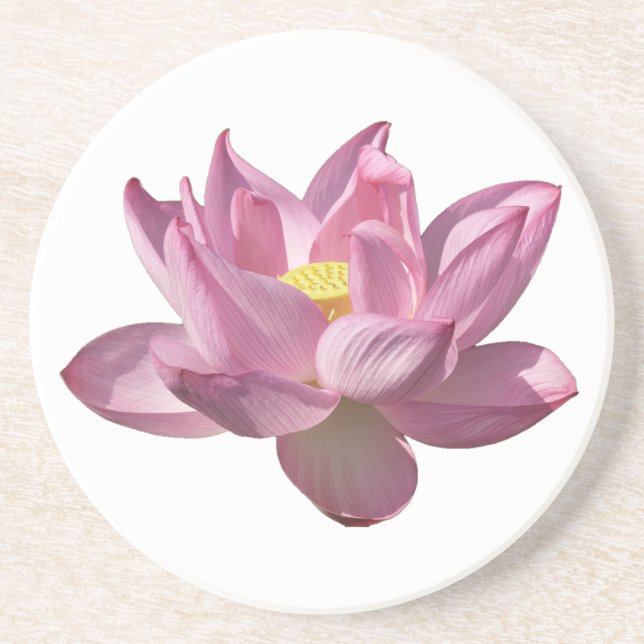 Dessous De Verre En Grès Fleur de lotus rose IV (Devant)