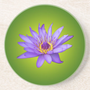 Dessous De Verre En Grès Fleur de nénuphar étang aquatique fleur d'eau viol