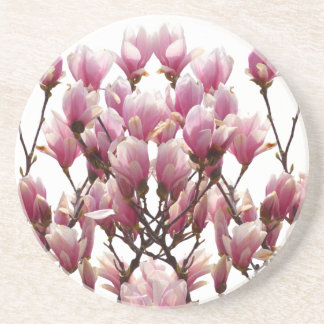 Dessous De Verre En Grès Fleur de printemps rose florissante Magnolias