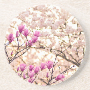 Dessous De Verre En Grès Fleur de printemps rose pourpre en floraison