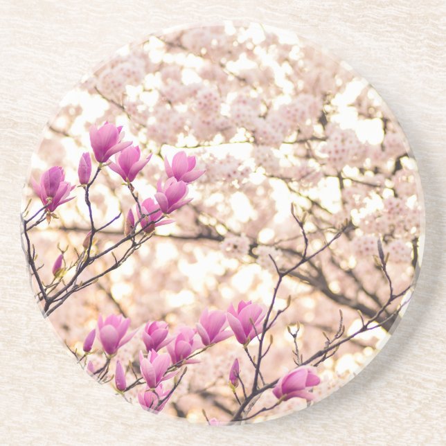 Dessous De Verre En Grès Fleur de printemps rose pourpre en floraison (Devant)