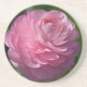 Dessous De Verre En Grès Fleur de ranunculus rose