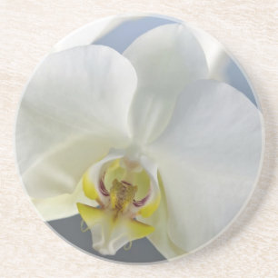 Dessous De Verre En Grès Fleur d'orchidée blanche