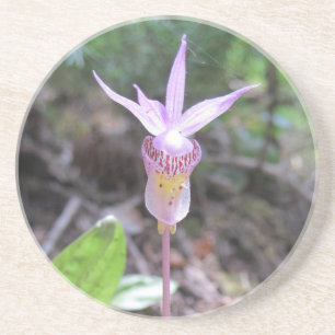 Dessous De Verre En Grès Fleur d'orchidée Fairyslipper