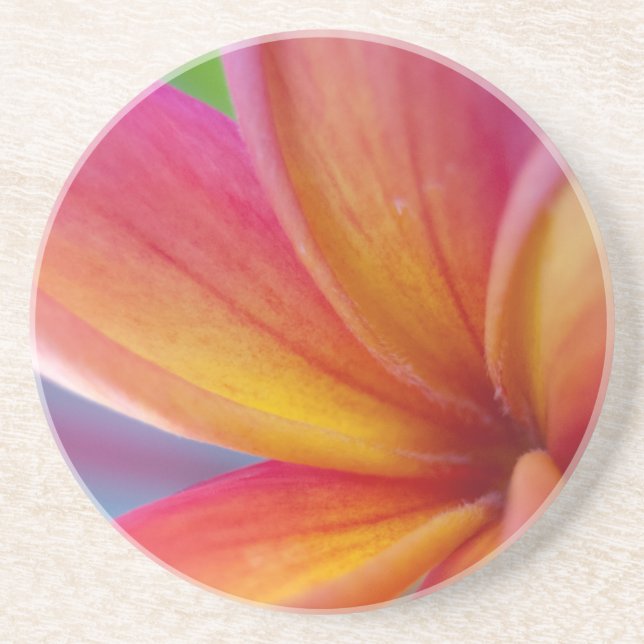 Dessous De Verre En Grès Fleur Plumeria Tropicale Rose Profond Jaune Orange (Devant)