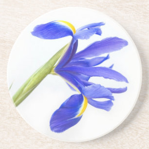 Dessous De Verre En Grès Fleur pourpre d'iris