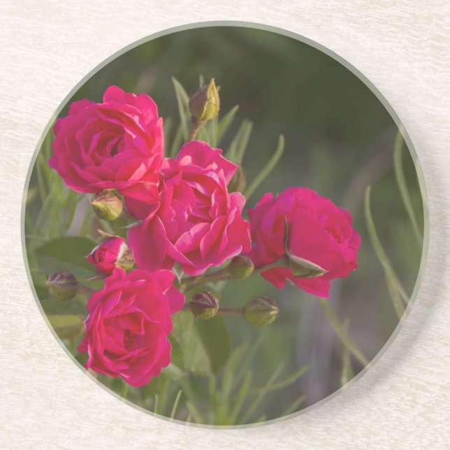 Dessous De Verre En Grès Fleur rose (Devant)