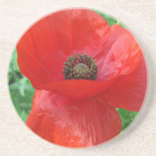 Dessous De Verre En Grès Fleur Rouge