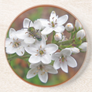 Dessous De Verre En Grès Fleur sauvage blanc et vol d'abeille