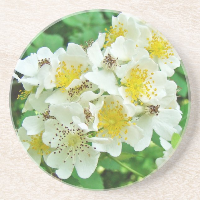 Dessous De Verre En Grès Fleur sauvage Rose de la Multiflore blanche (Devant)