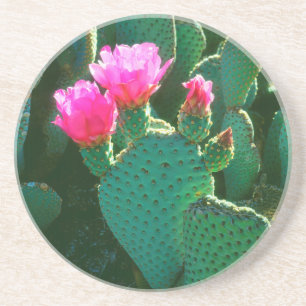 Dessous De Verre En Grès Fleurs de Cactus Beavertail