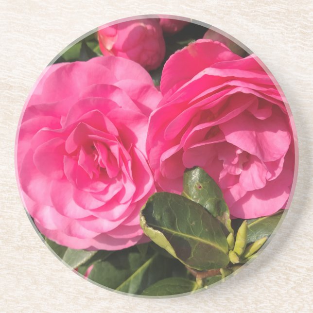 Dessous De Verre En Grès Fleurs de Camellia rose foncé (Devant)