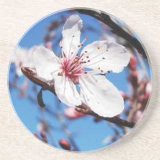 Dessous De Verre En Grès Fleurs de cerisier 2
