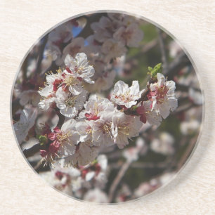 Dessous De Verre En Grès Fleurs de cerisiers