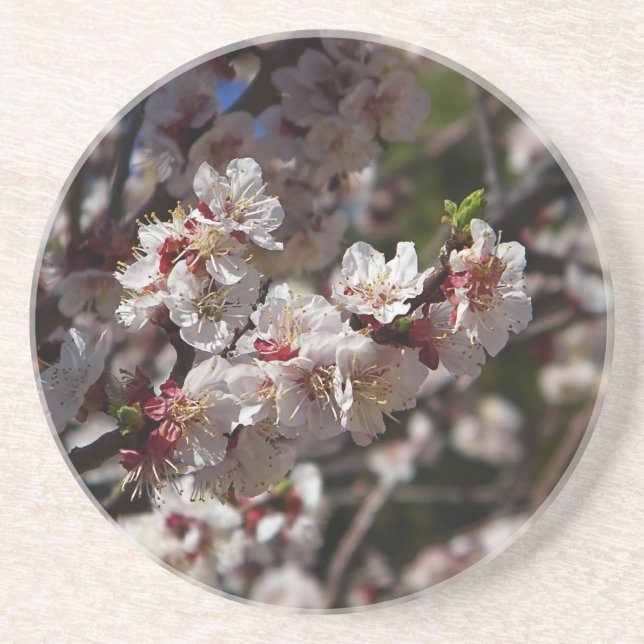 Dessous De Verre En Grès Fleurs de cerisiers (Devant)