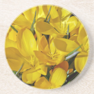 Dessous De Verre En Grès Fleurs de Crocus Jaune