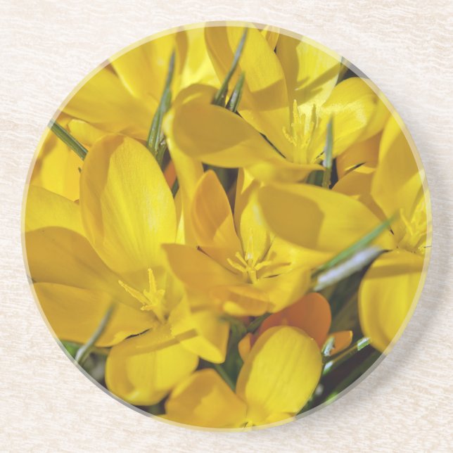 Dessous De Verre En Grès Fleurs de Crocus jaunes (Devant)