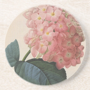 Dessous De Verre En Grès Fleurs de jardin vintage, hortensia Hydrangea rose
