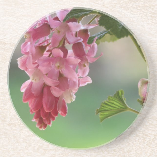 Dessous De Verre En Grès fleurs de printemps, Pâques, printemps, nature, ro (Devant)