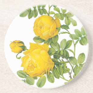 Dessous De Verre En Grès Fleurs Florales Vintage, Roses Jaunes par Redoute