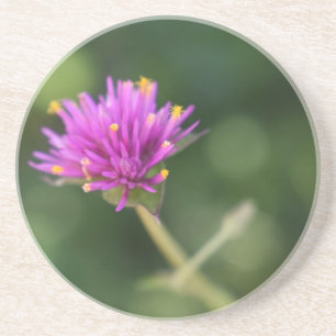Dessous De Verre En Grès Fleurs violettes Été Nature Photographie Florale