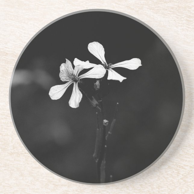 Dessous De Verre En Grès floral noir et blanc minimal (Devant)