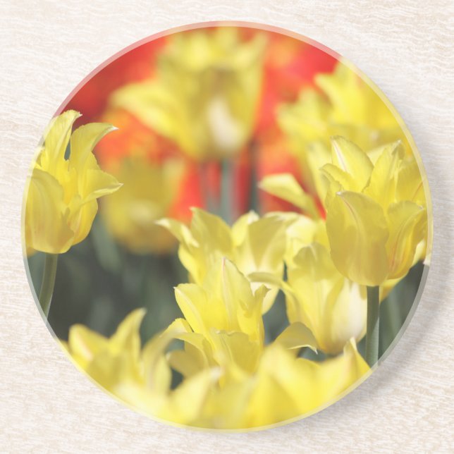 Dessous De Verre En Grès Flore tombée Été Glow (Devant)