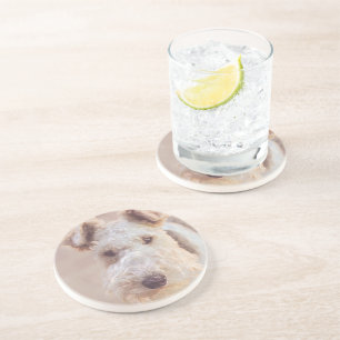 Dessous De Verre En Grès Fluffy Airedale Welsh Terrier Type Chien Chien Chi