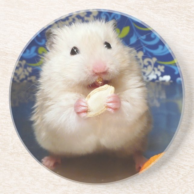 Dessous De Verre En Grès Fluffy Syrian Hamster Kokolinka (Devant)