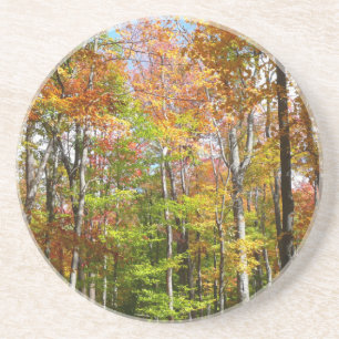 Dessous De Verre En Grès Forêt d'automne II Photographie de paysage automna