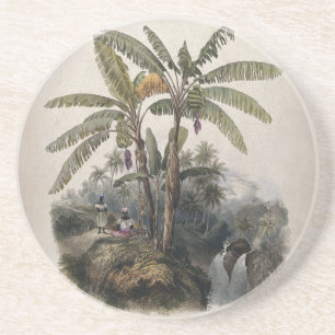 Dessous De Verre En Grès Forêt de bananiers tropicaux antiques   Bota vinta