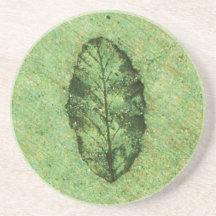 Fossile de feuille verte
