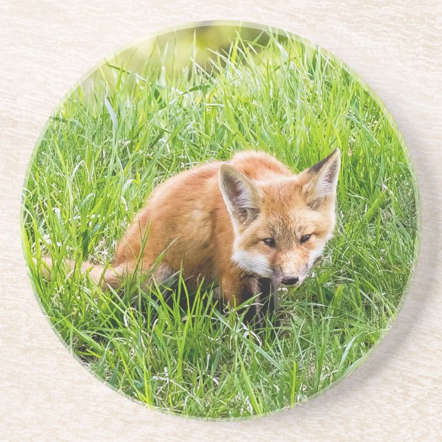 Dessous De Verre En Grès Fox Cub (Devant)