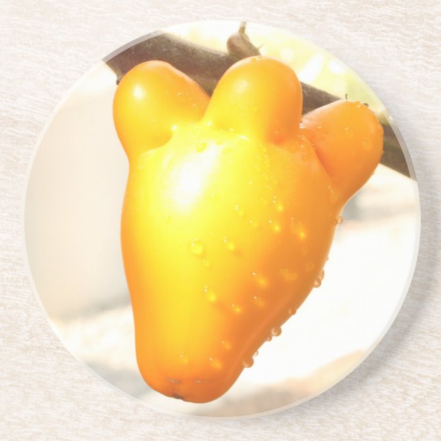 Dessous De Verre En Grès Fox Face Fruit Coaster (Devant)