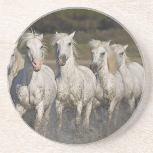 Dessous De Verre En Grès France, Camargue. Les chevaux courent