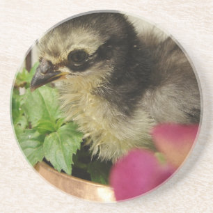 Dessous De Verre En Grès Frizzle Chick