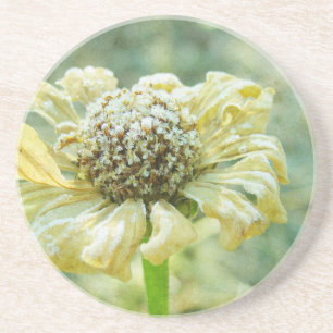 Dessous De Verre En Grès Frosty Zinna