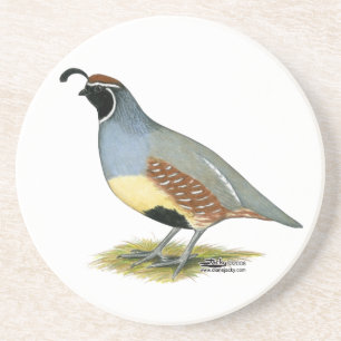 Dessous De Verre En Grès Gambel's Desert Quail