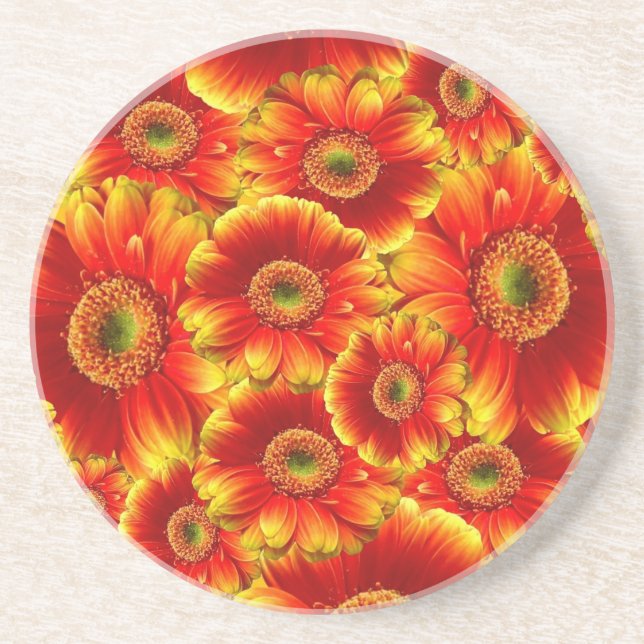 Dessous De Verre En Grès Gerbera Daisies (Devant)